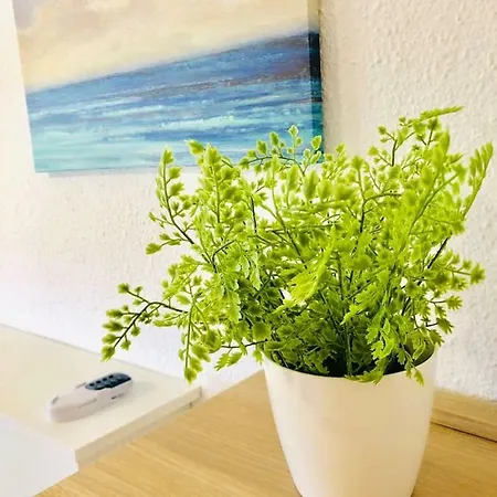 Appartement Impresionante 1ª Linea De Playa... *