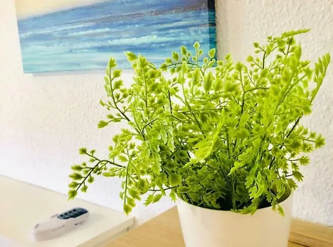 Apartment Impresionante 1ª Linea De Playa... *